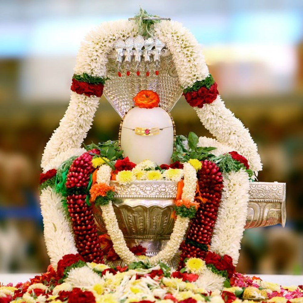 Rudrabhishek Puja in Ujjain